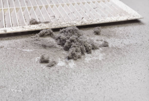 Best Air Duct Sanitizing Services  in Hopkins, SC